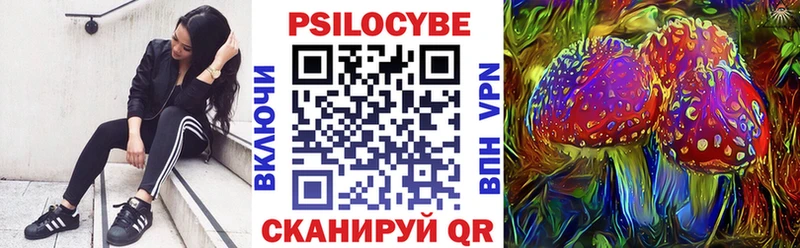 Псилоцибиновые грибы Psilocybine cubensis  нарко площадка состав  Альметьевск 